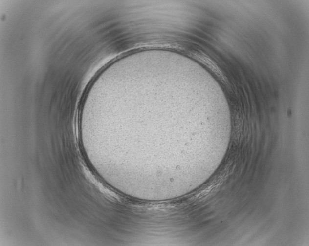 X0000061721084200512302113