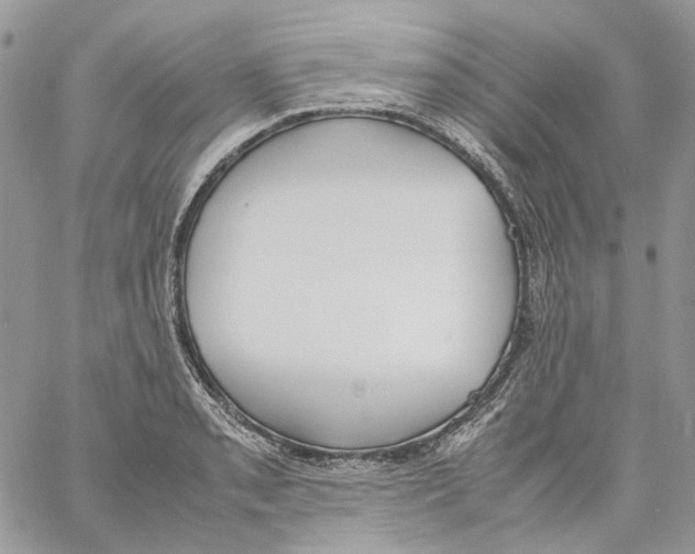 X0000061721085200512302113