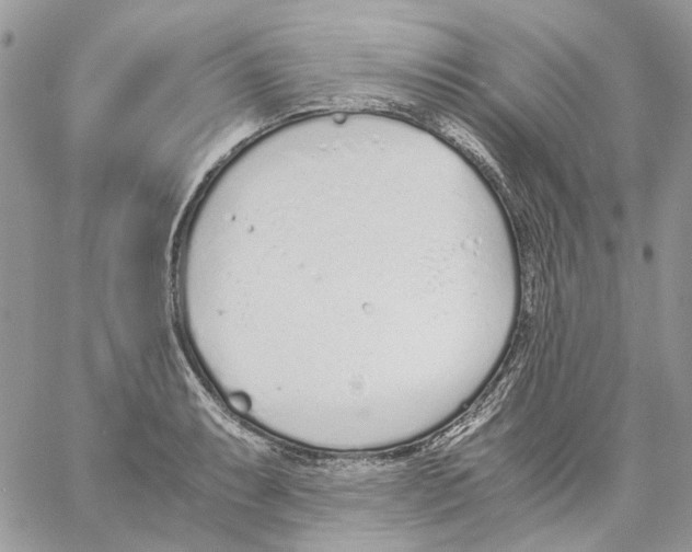 X0000061721087200512302113