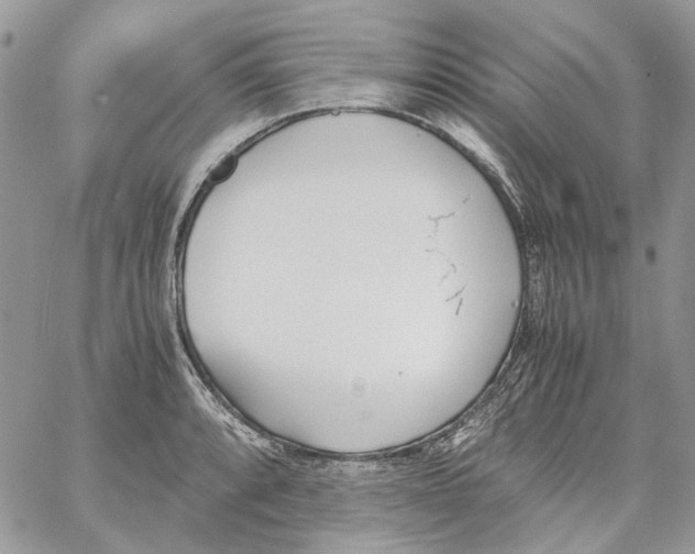 X0000061721088200512302113