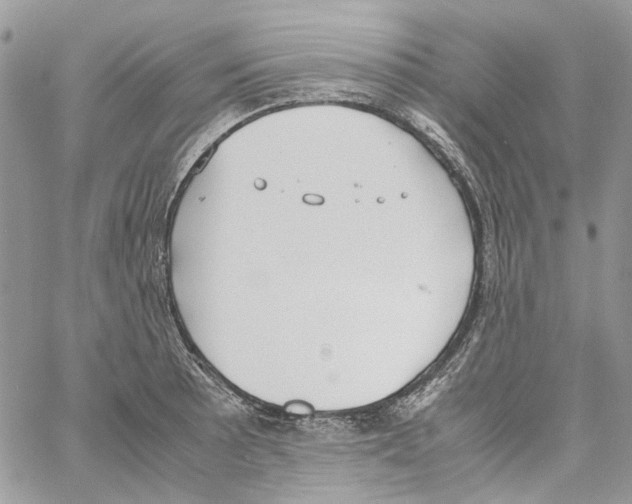 X0000061721089200512302113