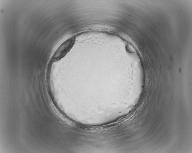 X0000061721091200512302113