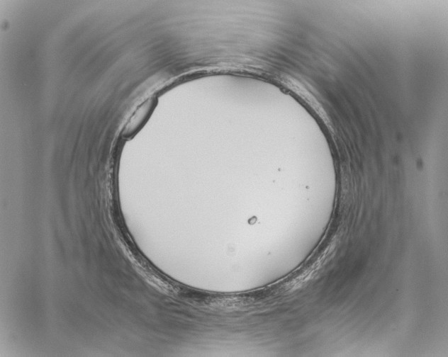 X0000061721093200512302113