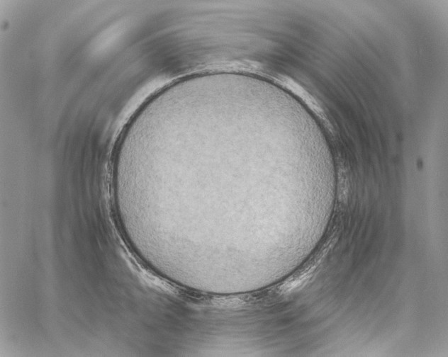 X0000061721094200512302113