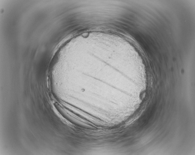 X0000061721095200512302113