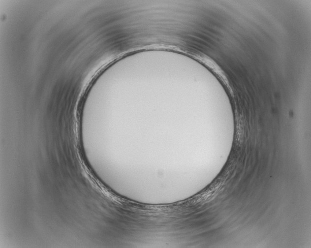 X0000061721096200512302113