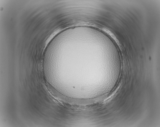 X0000061721097200512302113