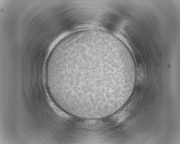 X0000061721098200512302113