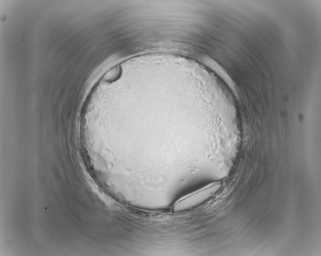 X0000061721099200512302113