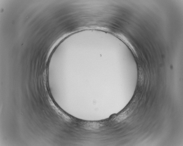 X0000061721100200512302113