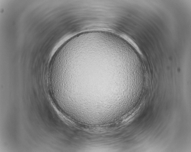 X0000061721101200512302113