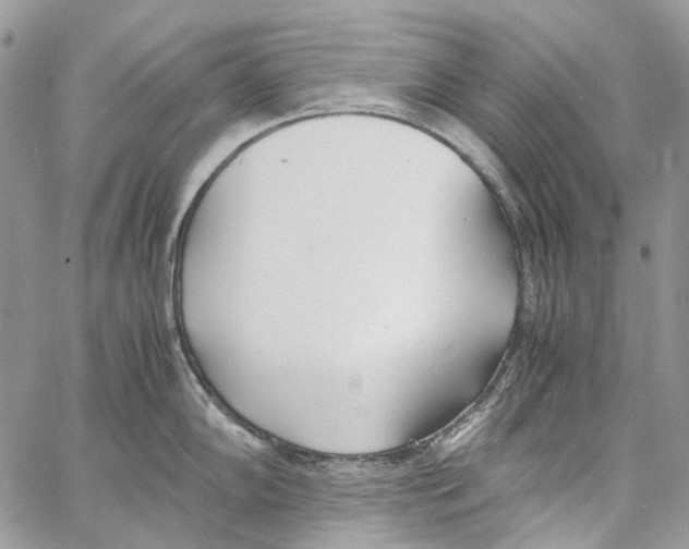 X0000061721102200512302113