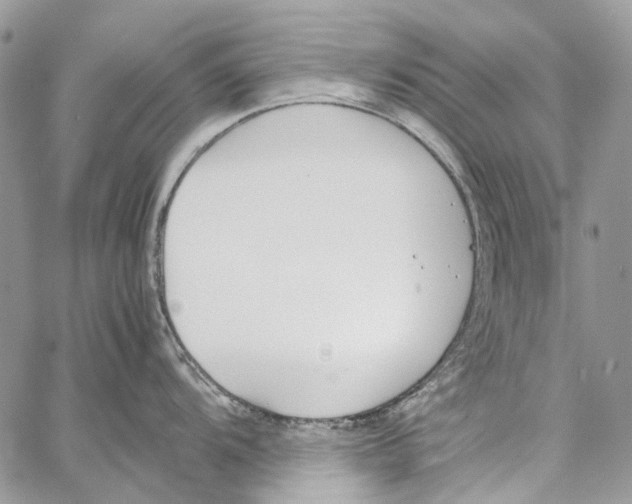 X0000061721104200512302113