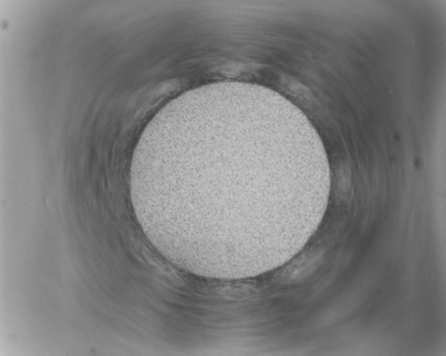 X0000061721105200512302112