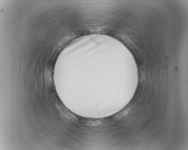 X0000061721106200512302112