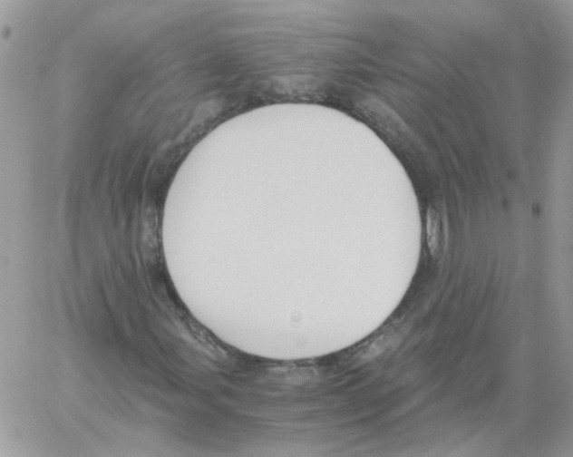 X0000061721107200512302112