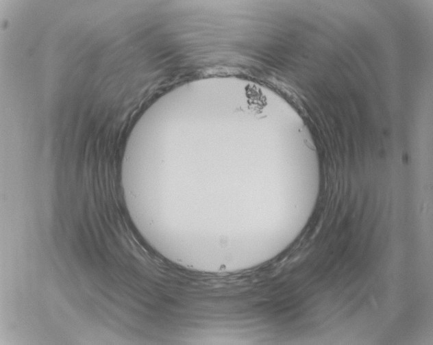 X0000061721108200512302112