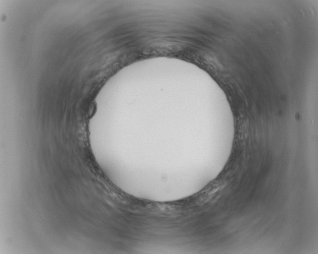 X0000061721109200512302112