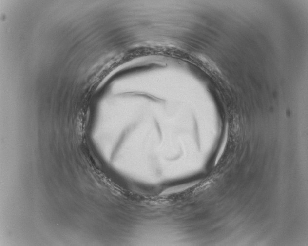 X0000061721110200512302112