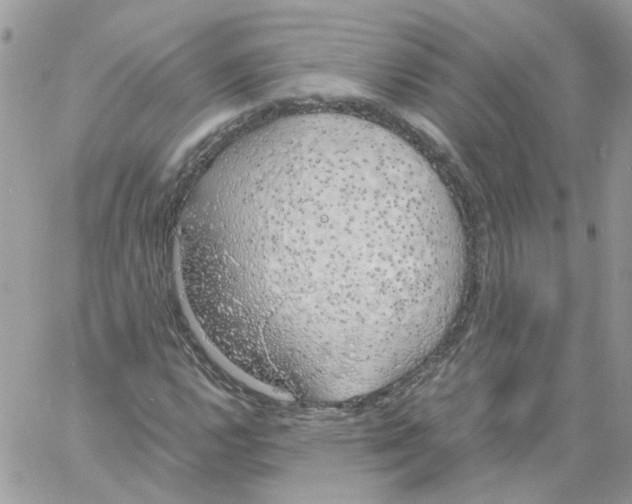 X0000061721112200512302112