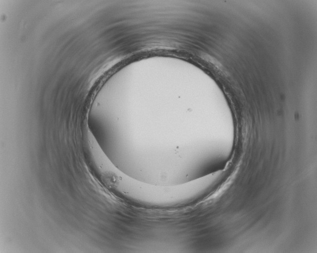 X0000061721113200512302112