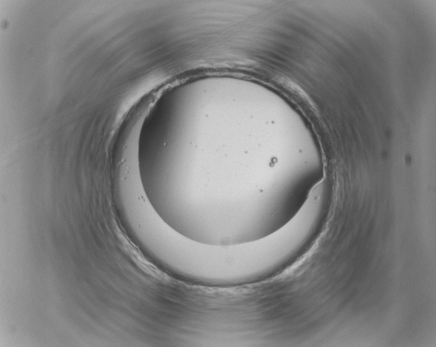 X0000061721114200512302112