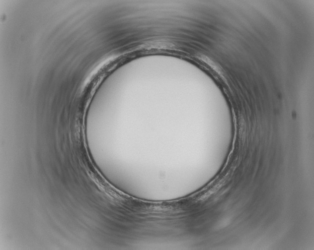 X0000061721115200512302112