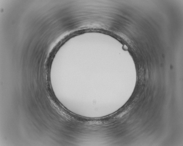 X0000061721118200512302113