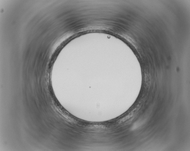 X0000061721119200512302113