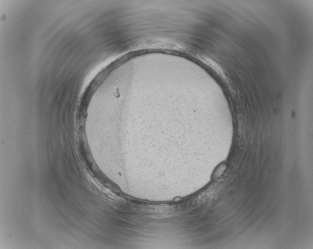 X0000061721120200512302113