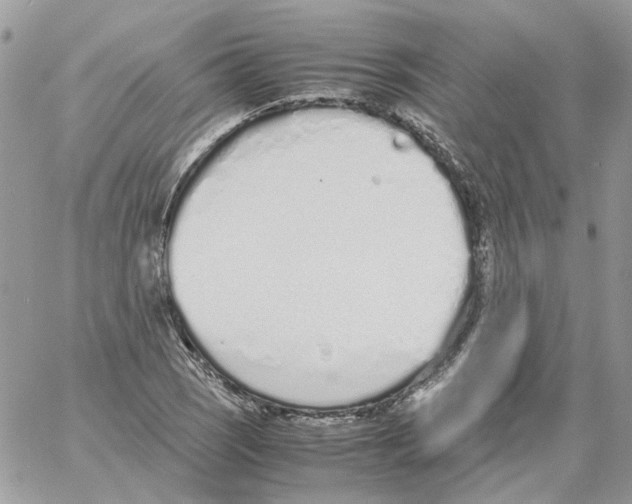 X0000061721121200512302113