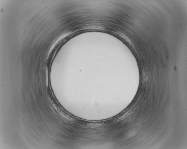 X0000061721123200512302113