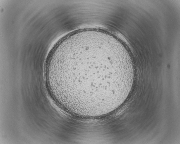 X0000061721124200512302113