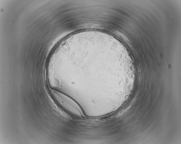 X0000061721125200512302113