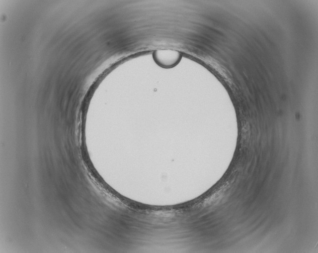 X0000061721126200512302113