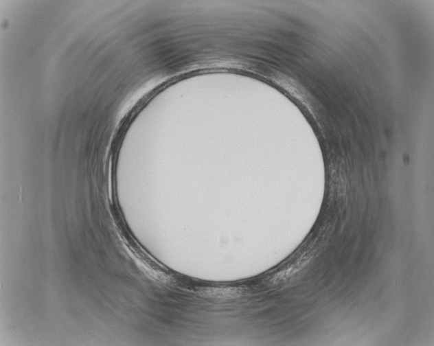 X0000061721127200512302113