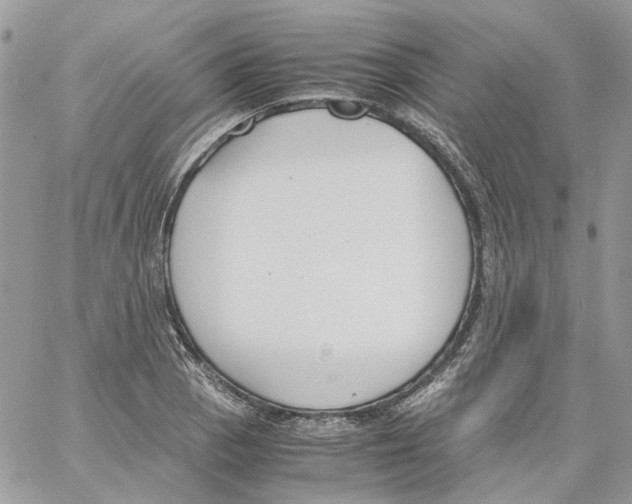 X0000061721129200512302113