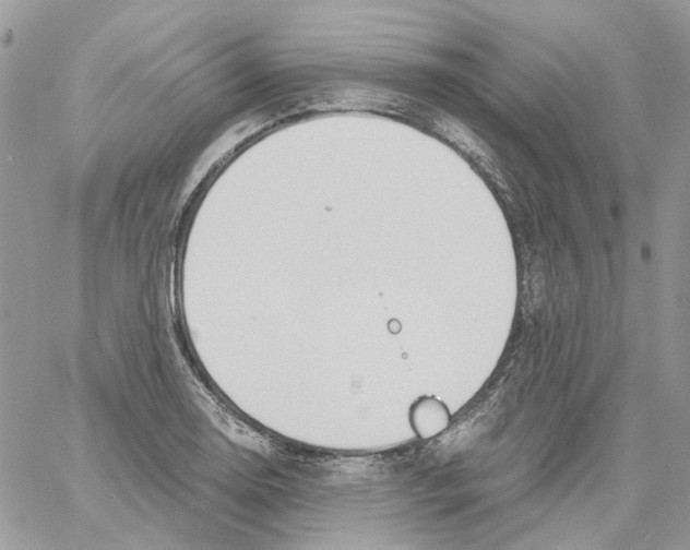 X0000061721130200512302113