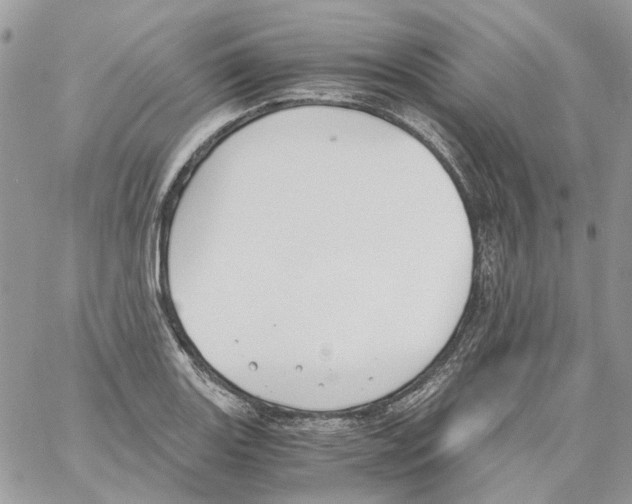 X0000061721131200512302113