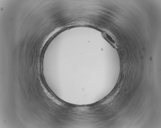 X0000061721134200512302113