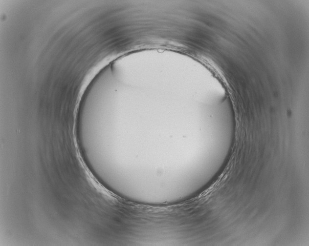 X0000061721136200512302113