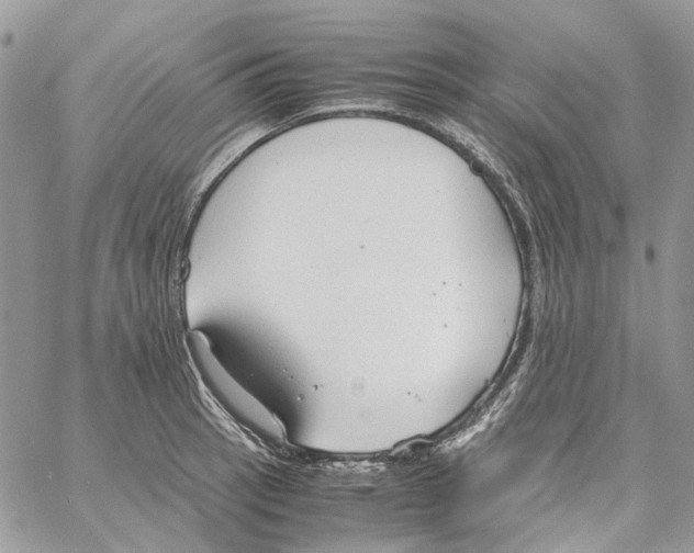 X0000061721137200512302113