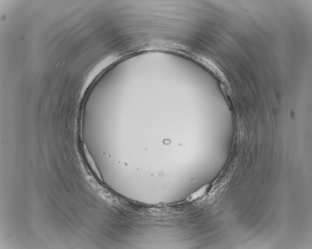 X0000061721138200512302113