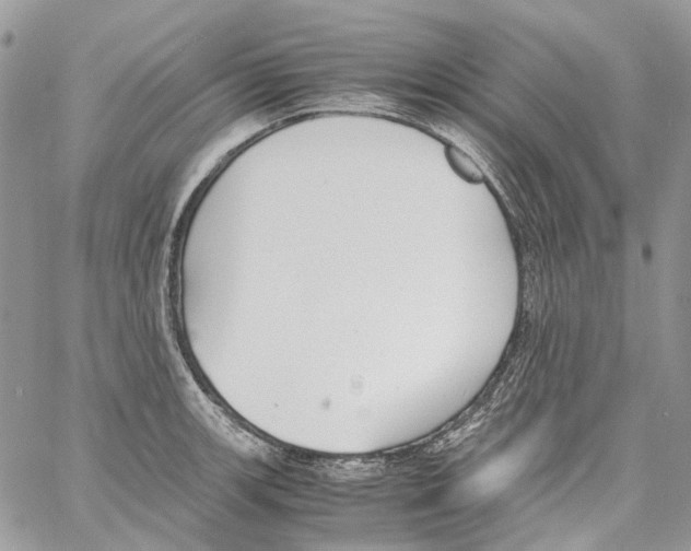 X0000061721139200512302113