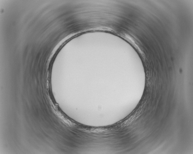 X0000061721140200512302113