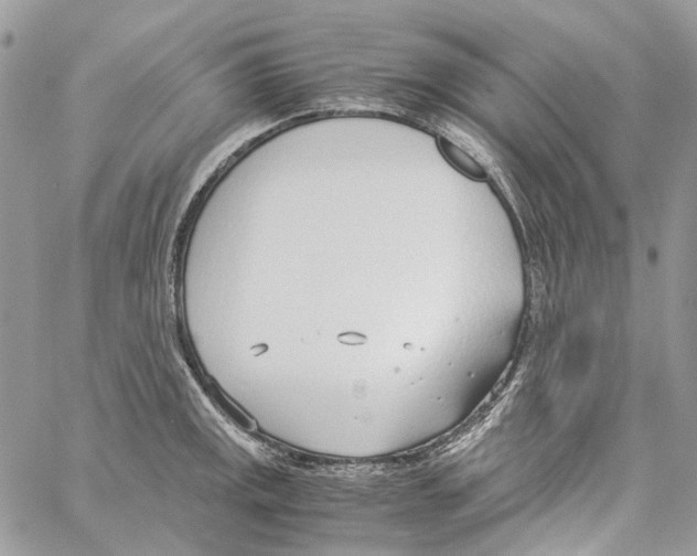 X0000061721141200512302113