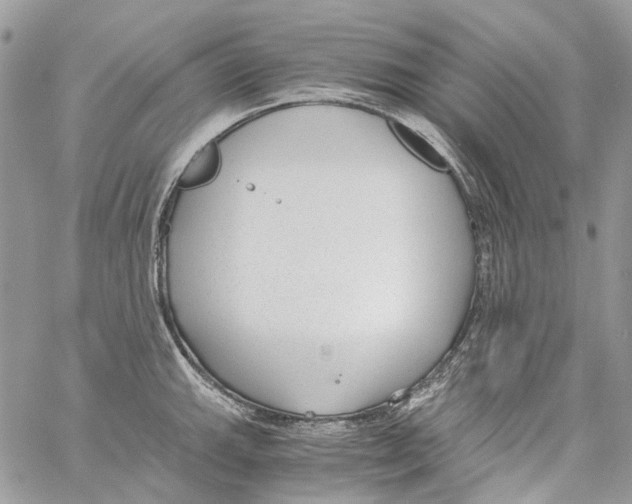 X0000061721143200512302113