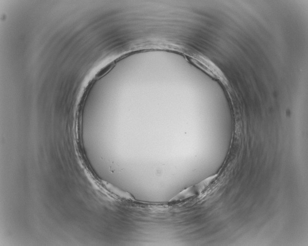 X0000061721144200512302113