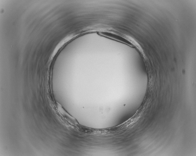 X0000061721146200512302113