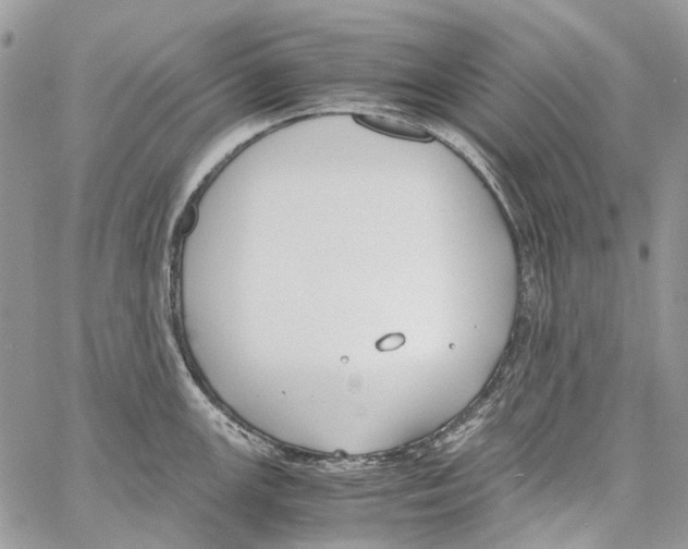 X0000061721147200512302113